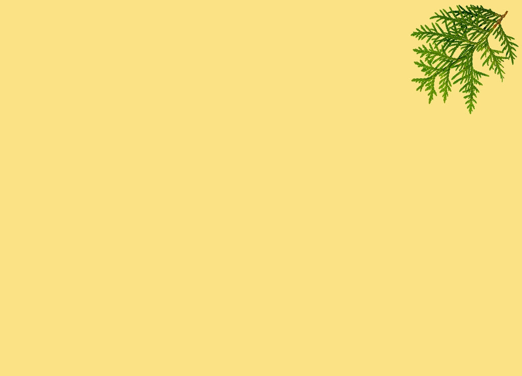 lazy image tablet