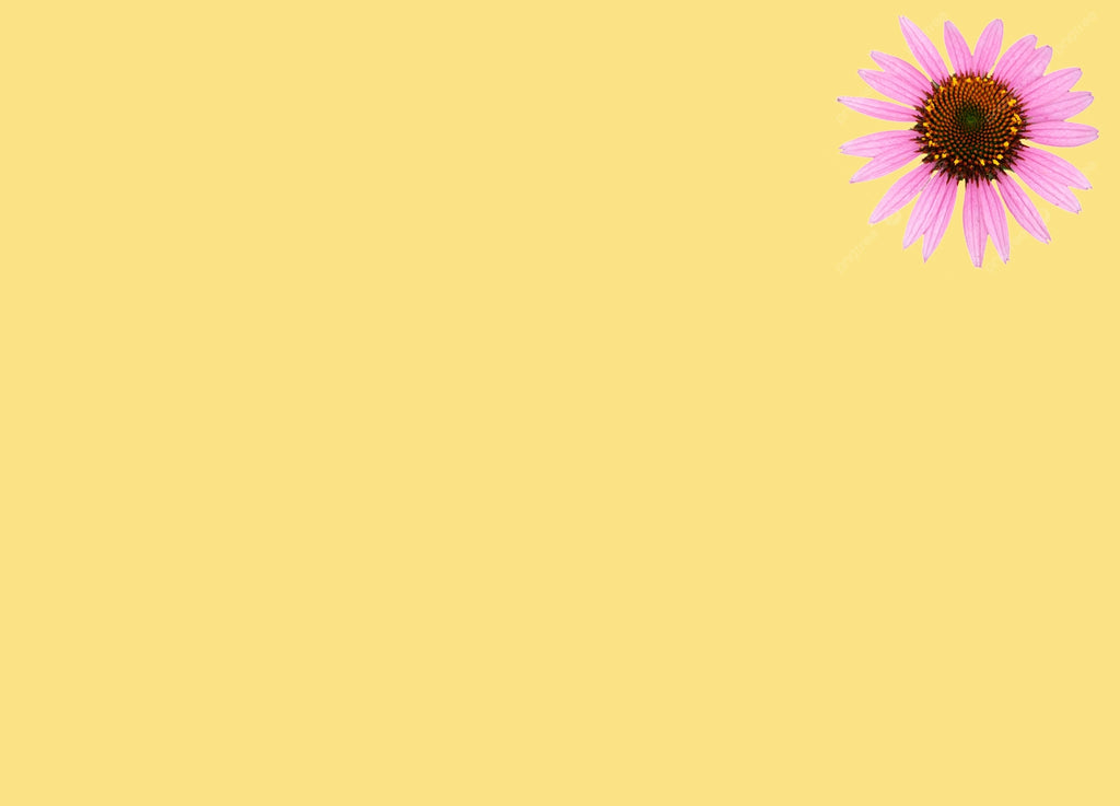 lazy image tablet
