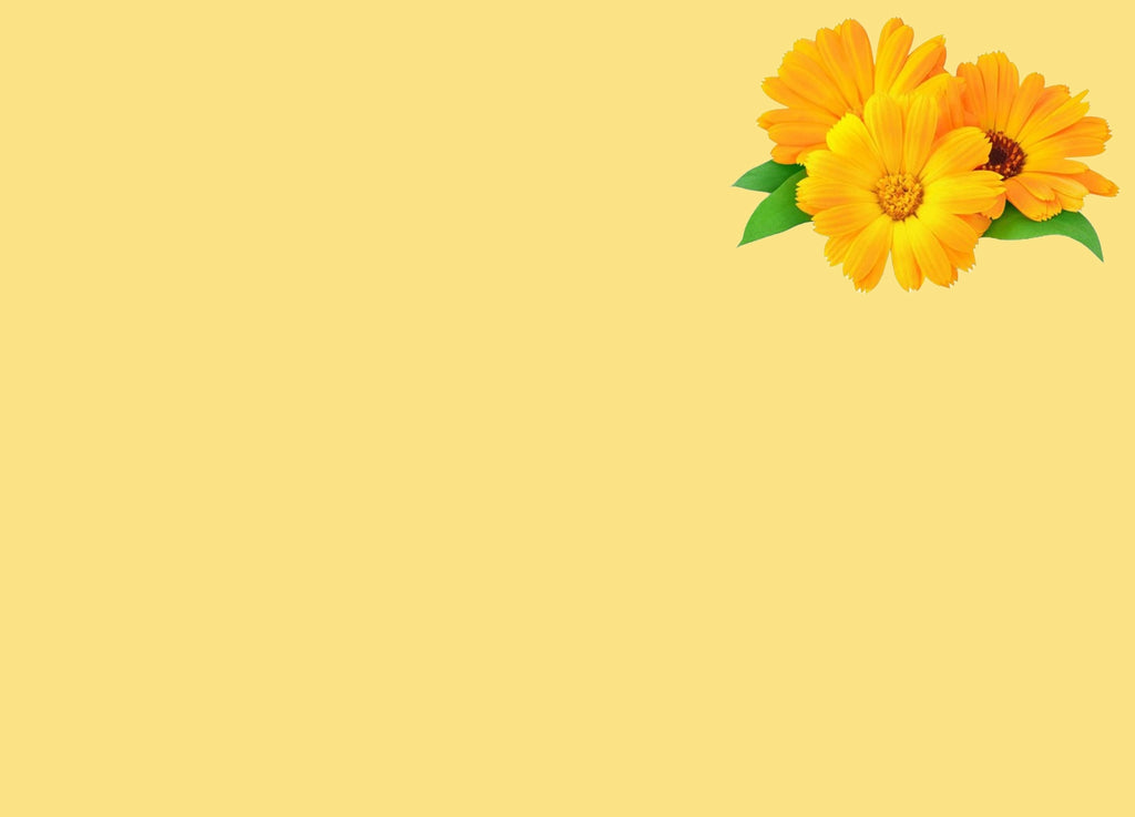 lazy image tablet